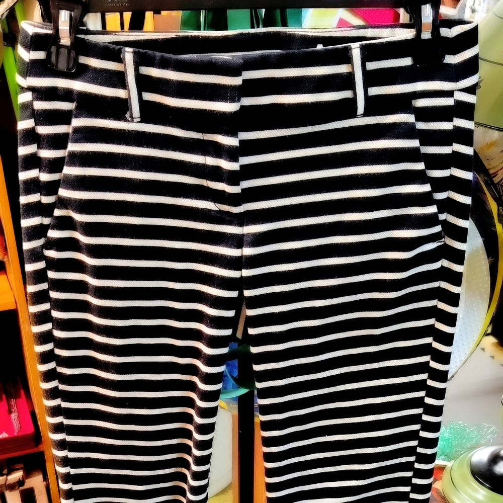 LOFT 00 Marissa Dress Pants
